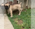 Small #21 Breeder Profile image
