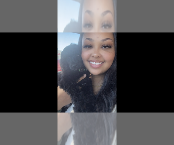 Medium Photo #1  Breeder Profile in LEAGUE CITY, TX, USA