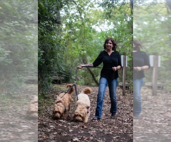 Medium Photo #32  Breeder Profile in HALTOM CITY, TX, USA