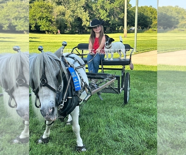 Medium Photo #3  Breeder Profile in HARVEL, IL, USA