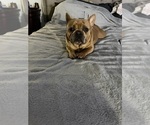 Small #14 Breeder Profile image
