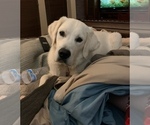 Small #22 Breeder Profile image