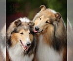 Small breeder photo