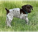 Small #28 Breeder Profile image