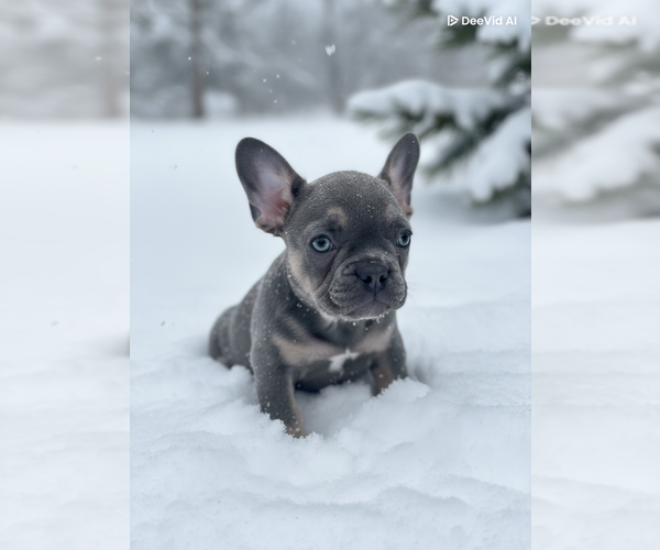 Medium Photo #1  Breeder Profile in BAKERSFIELD, CA, USA