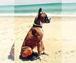 Small #23 Breeder Profile image