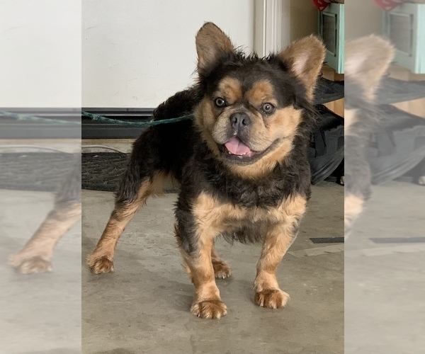 Medium Photo #1  Breeder Profile in FRESNO, CA, USA