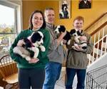 Small #9 Breeder Profile image