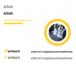 Small #1 Breeder Profile image