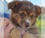 Small #29 Breeder Profile image