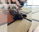 Small #3 Breeder Profile image