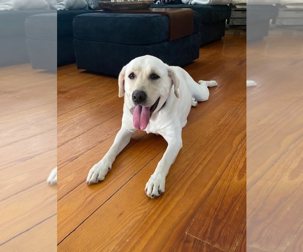 Medium Photo #20  Breeder Profile in BEAUFORT, NC, USA