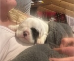 Small #5 Breeder Profile image