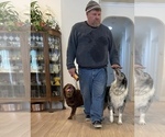 Small #18 Breeder Profile image