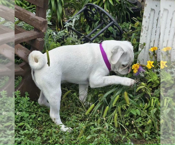 Medium Photo #2  Breeder Profile in MAXWELL, NM, USA