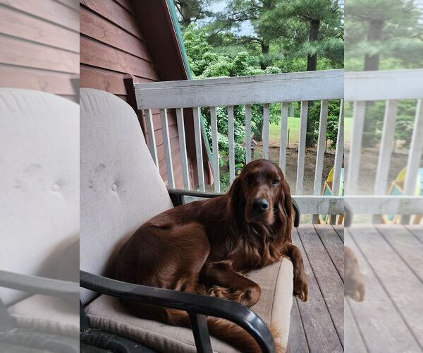 Medium Photo #1  Breeder Profile in EDWARDS CROSSROADS, NC, USA