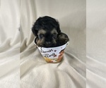 Small #27 Breeder Profile image