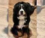 Small Photo #8  Breeder Profile in SAINT MARIES, ID, USA