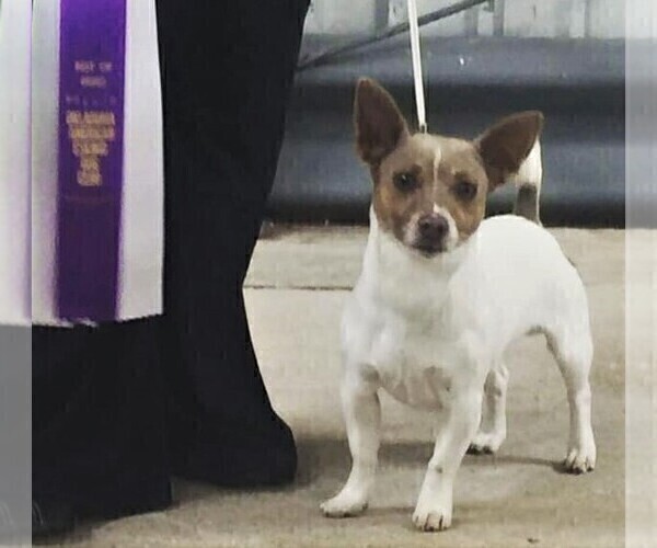 Medium Photo #20  Breeder Profile in CLAREMORE, OK, USA