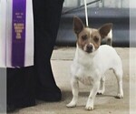 Small #19 Breeder Profile image