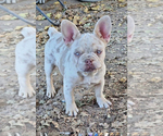 Small #5 Breeder Profile image