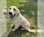 Small #10 Breeder Profile image