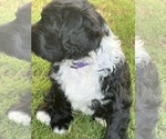 Small #6 Breeder Profile image