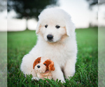 Small #3 Breeder Profile image
