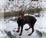 Small #55 Breeder Profile image