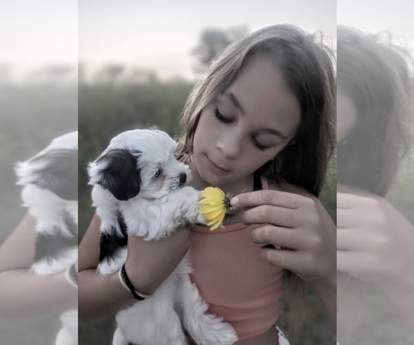 Medium Photo #12  Breeder Profile in FARMINGTON, MN, USA