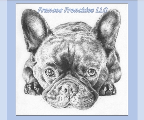Medium Photo #1  Breeder Profile in CASTLE ROCK, CO, USA