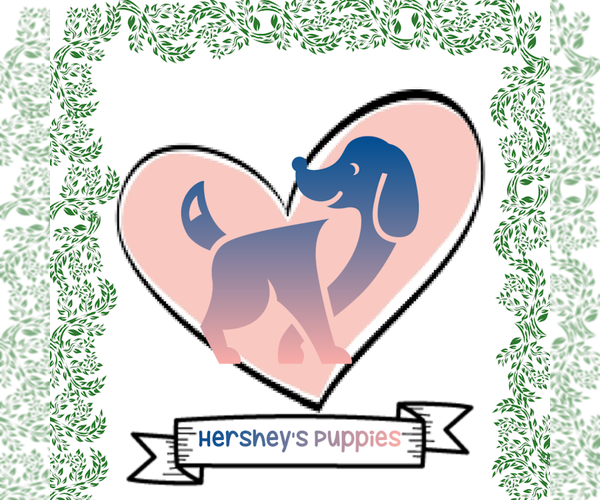 Medium Photo #1  Breeder Profile in HERALD, CA, USA