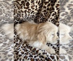 Small #10 Breeder Profile image