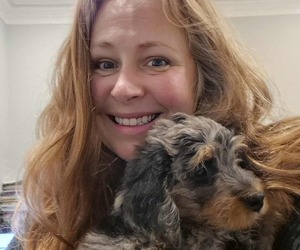 Miniature Bernedoodle Dog Breeder near GREENSBORO, NC, USA