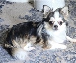 Small #79 Breeder Profile image