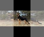 Small #1 Breeder Profile image