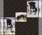 Small #2 Breeder Profile image
