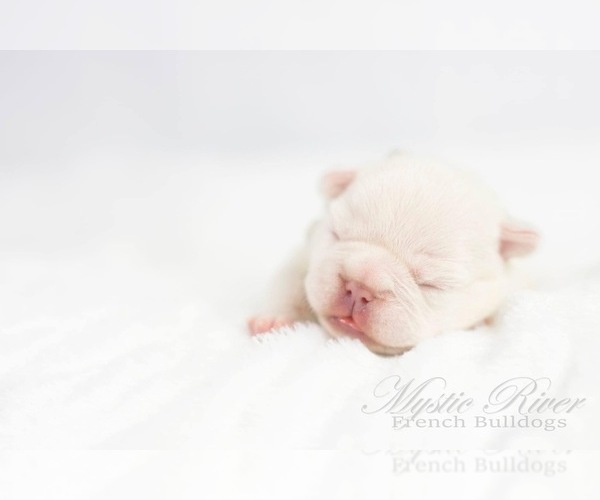 Medium Photo #1  Breeder Profile in Valleyview, Alberta, Canada