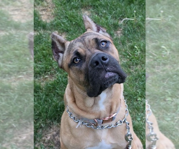 Medium Photo #5  Breeder Profile in PONSFORD, MN, USA