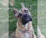 Small #4 Breeder Profile image