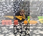 Small #272 Breeder Profile image