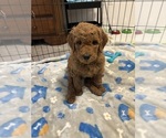 Small #25 Breeder Profile image