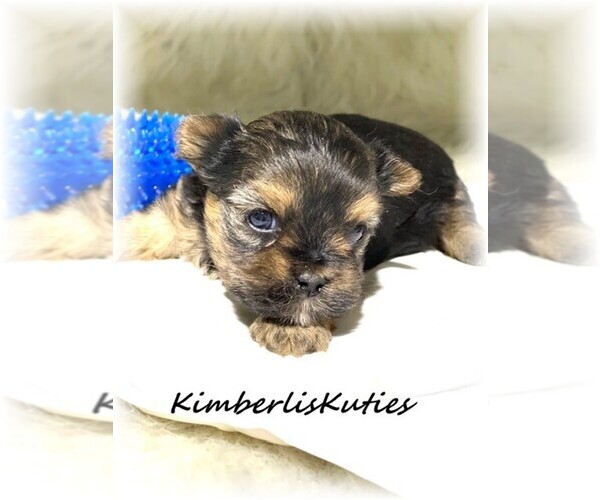 Medium Photo #9  Breeder Profile in LIPAN, TX, USA