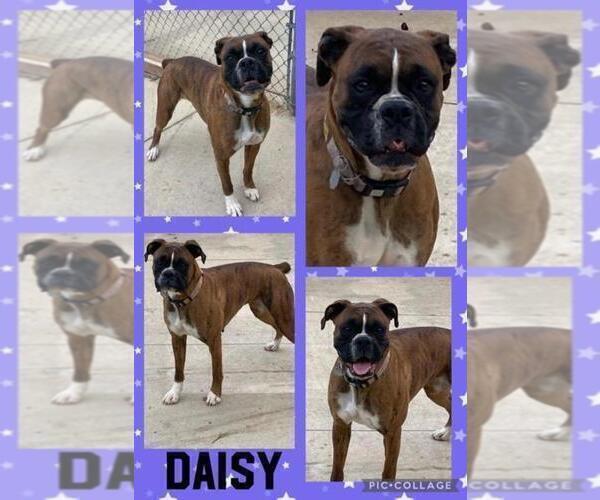 Medium Photo #1  Breeder Profile in LINN GROVE, IN, USA