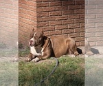 Small #3 Breeder Profile image