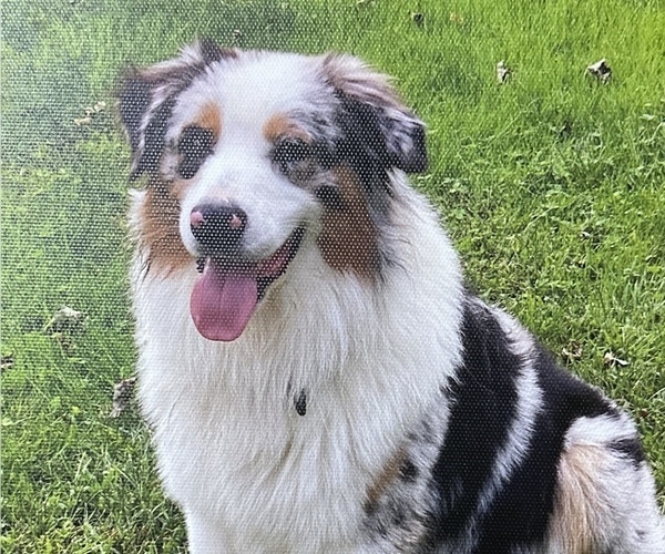 Medium Photo #1  Breeder Profile in BETHANY, CT, USA