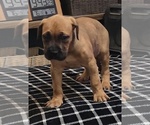 Small #7 Breeder Profile image