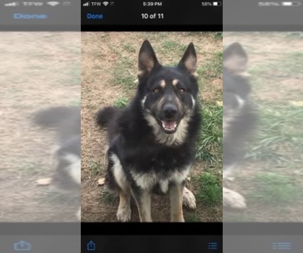Medium Photo #1  Breeder Profile in COLCORD, OK, USA