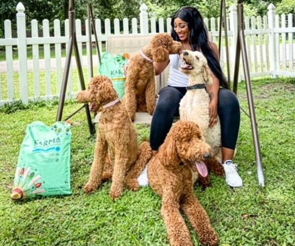Medium Photo #1  Breeder Profile in JACKSONVILLE, FL, USA