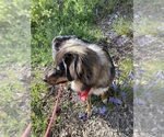 Small #2 Breeder Profile image